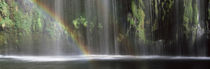 Rainbow formed in front of waterfall in a forest, near Dunsmuir, California, USA von Panoramic Images