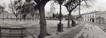 Trees in front of a building, Alameda Vieja, Jerez, Cadiz, Spain by Panoramic Images