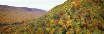 Mountain forest in autumn, Nova Scotia, Canada by Panoramic Images
