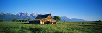 John Moulton Barn in field with bison, Grand Teton National Park, Wyoming, USA by Panoramic Images