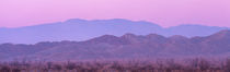 Desert At Sunrise, Anza Borrego California, USA von Panoramic Images