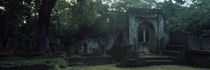 Ruins of a building, Gedi National Monument, Coast Province, Kenya by Panoramic Images