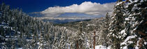 Lake Tahoe, California, USA by Panoramic Images