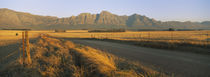 Road running through a farm, South Africa von Panoramic Images