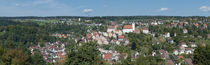 Houses in a town, Altensteig, Schwarzwald, Calw, Baden-Württemberg, Germany von Panoramic Images