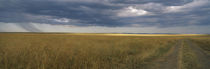 Great Rift Valley, Kenya by Panoramic Images