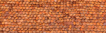 Close-Up Of Old Roof Tiles, Rothenburg, Germany by Panoramic Images
