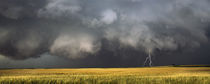 Thunderstorm advancing over a field by Panoramic Images