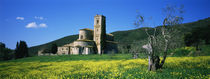 Monastery in a field, San Antimo Monastery, Tuscany, Italy by Panoramic Images
