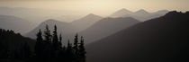 Mount Rainier National Park WA USA von Panoramic Images