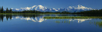 Panorama Print - Denali Nationalpark, Alaska, USA von Panoramic Images