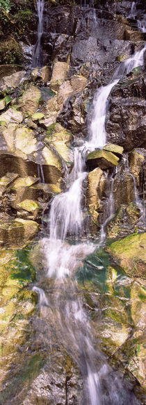 Waterfall in a forest von Panoramic Images