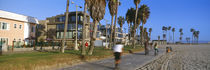 People riding bicycles near a beach, Venice, Los Angeles County, California, USA by Panoramic Images