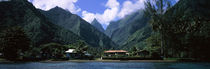 Mountains and buildings on the coast, Tahiti, French Polynesia by Panoramic Images