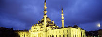 Yeni Mosque, Istanbul, Turkey by Panoramic Images
