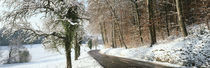 Road in snowy landscape canton Zurich Switzerland by Panoramic Images