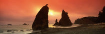 Silhouette of seastacks at sunset, Olympic National Park, Washington State, USA von Panoramic Images