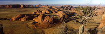Panorama Print - Felsformationen auf einer Landschaft Arizona, USA von Panoramic Images