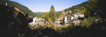 Black Forest, Baden-Wurttemberg, Germany by Panoramic Images