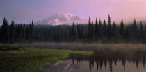 Panorama Print - USA, Washington, Mount Rainier Nationalpark von Panoramic Images