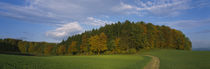 Trees In A Field, Aargau, Switzerland von Panoramic Images
