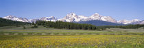  Sawtooth National Recreation Area, Stanley, Idaho, USA von Panoramic Images