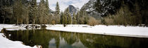 Yosemite National Park, Mariposa County, California, USA by Panoramic Images