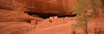 Ruins of house, White House Ruins, Canyon De Chelly, Arizona, USA by Panoramic Images