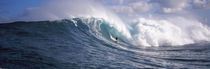 Surfer in the sea, Maui, Hawaii, USA by Panoramic Images