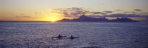 Sea at sunset, Moorea, Tahiti, Society Islands, French Polynesia von Panoramic Images