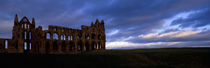 Whitby, North Yorkshire, England, United Kingdom by Panoramic Images