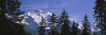 Mountains covered with snow, Swiss Alps, Wengen, Bernese Oberland, Switzerland von Panoramic Images