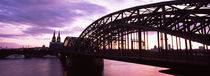  Cologne Cathedral, Rhine River, Cologne, North Rhine Westphalia, Germany von Panoramic Images