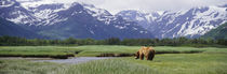  Katmai National Park, Alaska, USA von Panoramic Images
