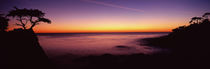  Pebble Beach, Carmel, Monterey County, California, USA von Panoramic Images