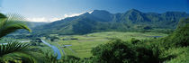 High angle view of taro fields, Hanalei Valley, Kauai, Hawaii, USA von Panoramic Images