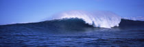 Waves in the sea, Maui, Hawaii, USA by Panoramic Images