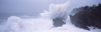Waves breaking on the coast, Shore Acres State Park, Oregon, USA by Panoramic Images