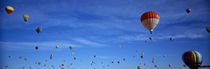 Low angle view of hot air balloons, Albuquerque, New Mexico, USA by Panoramic Images
