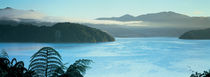 Kenepuru, Marlborough Sound, New Zealand von Panoramic Images