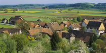 Panorama Print - Häuser in einem Dorf Thurgau, Schweiz von Panoramic Images