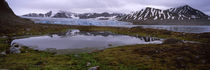 Ice floes in the sea with a glacier in the background, Norway von Panoramic Images