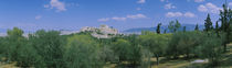 Ruined buildings on a hilltop, Acropolis, Athens, Greece by Panoramic Images