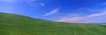 Landscape, San Quirico d'Orcia, Orcia Valley, Siena Province, Tuscany, Italy by Panoramic Images