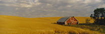 Barn in a wheat field, Palouse, Washington State, USA by Panoramic Images