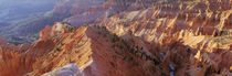 Amphitheater, Cedar Breaks National Monument, Utah, USA by Panoramic Images