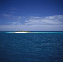 Island in the sea, Tuamotu Archipelago, French Polynesia von Panoramic Images