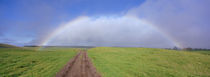 Rainbow Over A Landscape, Kamuela, Big Island, Hawaii, USA von Panoramic Images