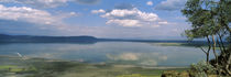 Lake Nakuru National Park, Great Rift Valley, Kenya by Panoramic Images