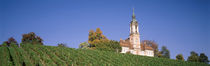  Church & Vineyard Bernau Germany von Panoramic Images